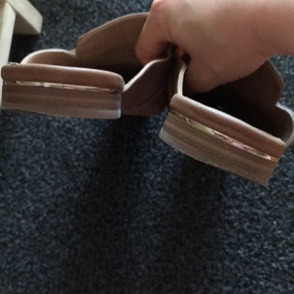 Call it spring mule - Picture 3 of 3